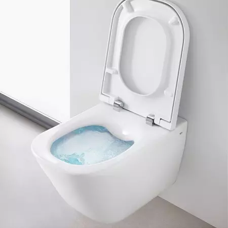 Ležaj WC (75 fotografij): Kaj je to? Prednosti in slabosti s straniščem brez platišča, značilnosti filtrirnih modelov in toaletni sklede kompaktne, pregledi 10547_34