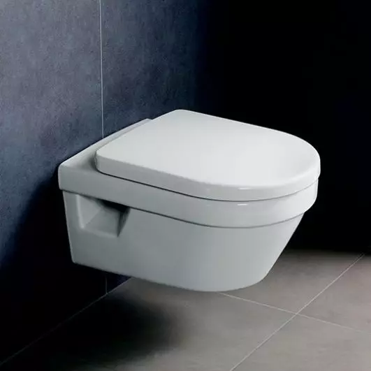 Dragendoilet (75 foto's): wat is het? Voor- en nadelen van de wc-kommen zonder rand, kenmerken van de filtermodellen en wc-kommen Compact, reviews 10547_38
