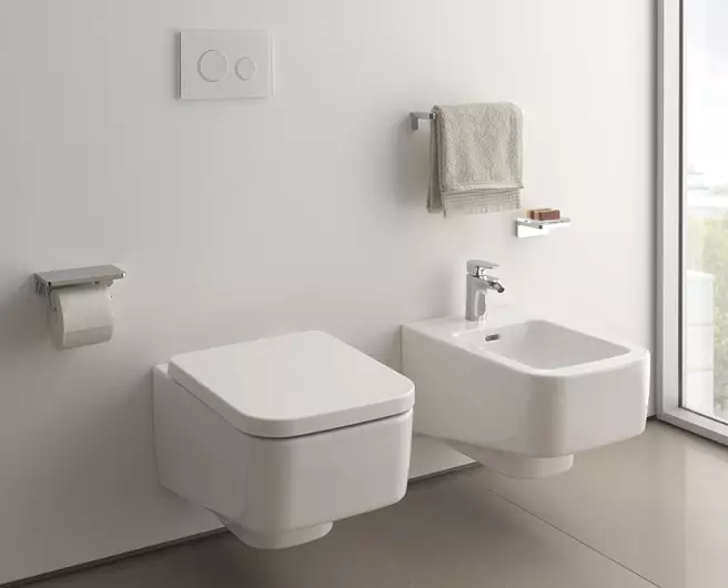 Bearing toilet (75 foto): Apa iku? Pros lan kontra saka bokor jamban tanpa lega, fitur saka mangkuk saringan lan bokor jamban kompak, ulasan 10547_39