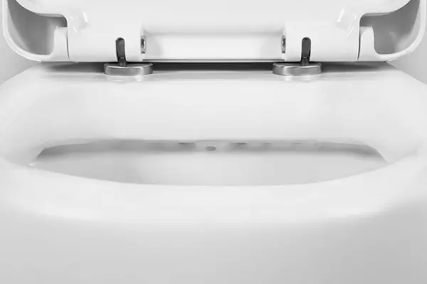 Bearing toilet (75 foto): Apa iku? Pros lan kontra saka bokor jamban tanpa lega, fitur saka mangkuk saringan lan bokor jamban kompak, ulasan 10547_43