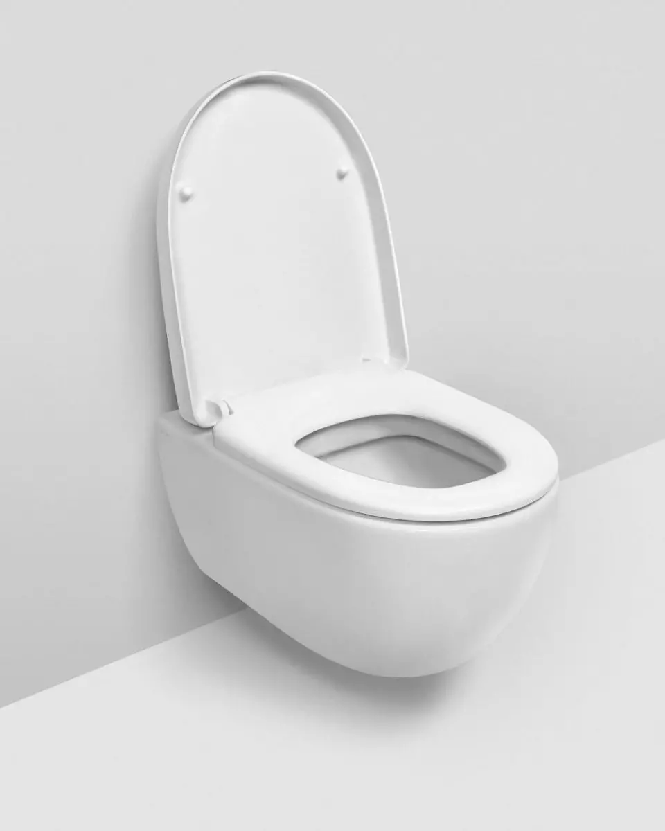 Imajući WC-om (75 fotografije): Šta je to? Prednosti i nedostatke u WC školjki bez oboda, ima modela filtera i WC školjke kompaktan, recenzije 10547_44