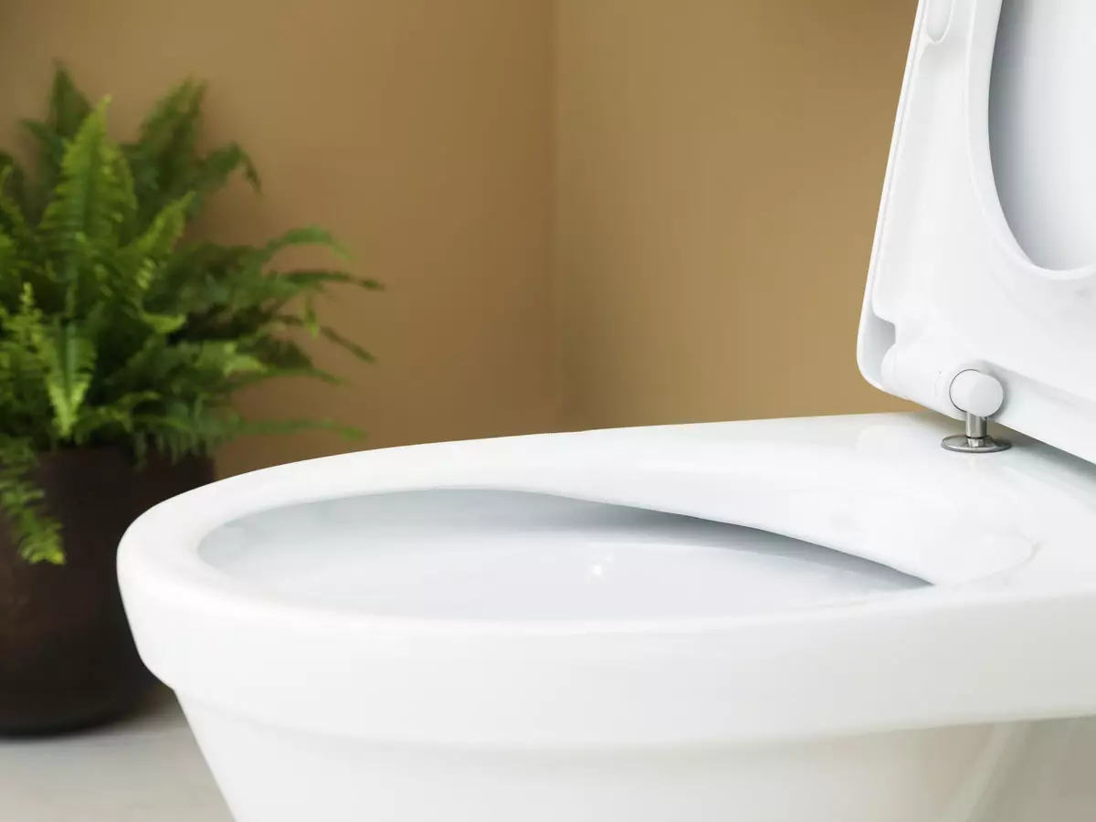 Ležaj WC (75 fotografij): Kaj je to? Prednosti in slabosti s straniščem brez platišča, značilnosti filtrirnih modelov in toaletni sklede kompaktne, pregledi 10547_47