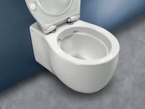Roding WC (75 fotos): ¿Qué es? Pros y contras de las tazones de inodoro sin llanta, características de los modelos de filtro y los tazones de inodoro compactos, comentarios 10547_5