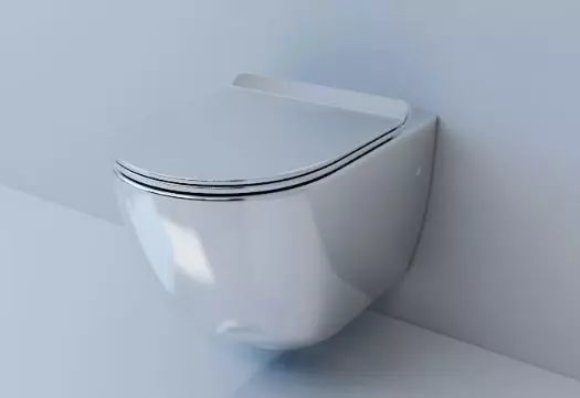 Dragendoilet (75 foto's): wat is het? Voor- en nadelen van de wc-kommen zonder rand, kenmerken van de filtermodellen en wc-kommen Compact, reviews 10547_51
