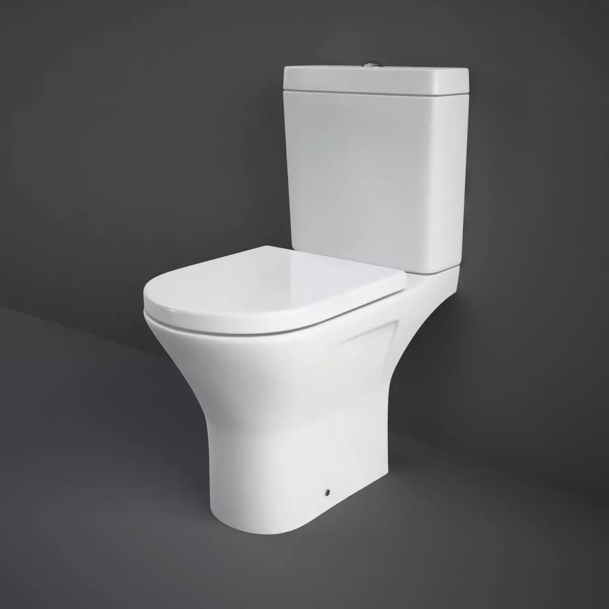 베어링 화장실 (75 사진) : 그것은 무엇입니까? 림이없는 변기의 장단점, 필터 모델 및 변기 그릇의 특징 컴팩트, 리뷰 10547_52