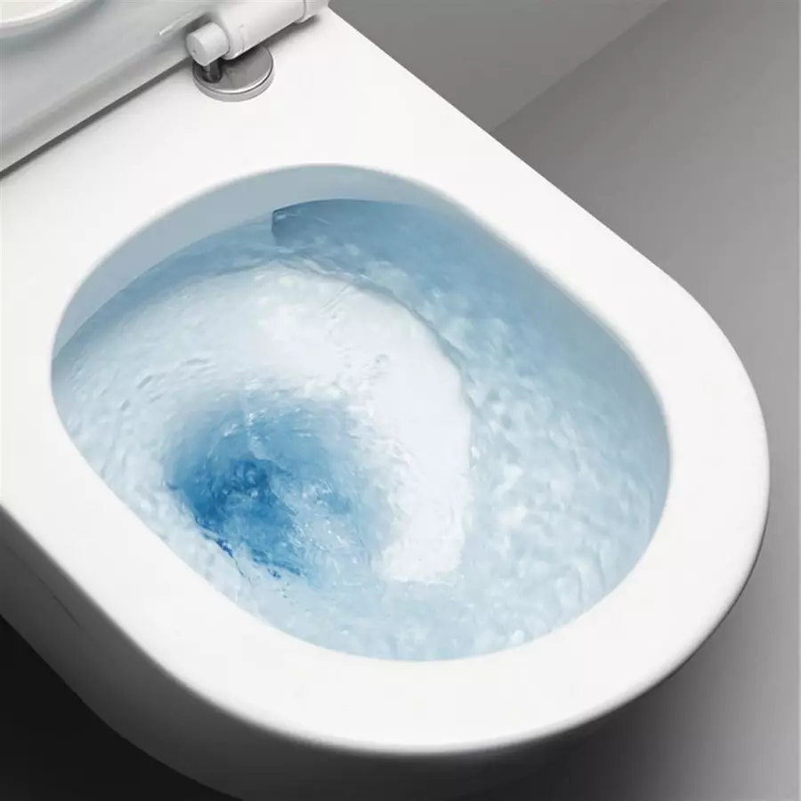 Ležaj WC (75 fotografij): Kaj je to? Prednosti in slabosti s straniščem brez platišča, značilnosti filtrirnih modelov in toaletni sklede kompaktne, pregledi 10547_53