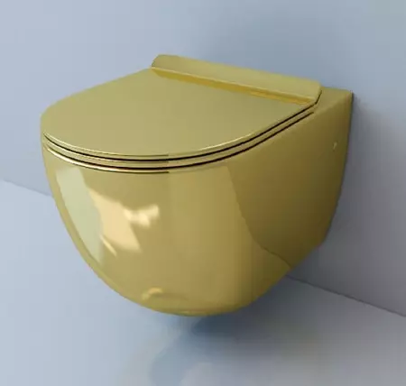 攜帶廁所（75張）：它是什麼？衛生間碗的優缺點沒有輪輞，濾波器型號和衛生間碗的功能緊湊，評論 10547_6