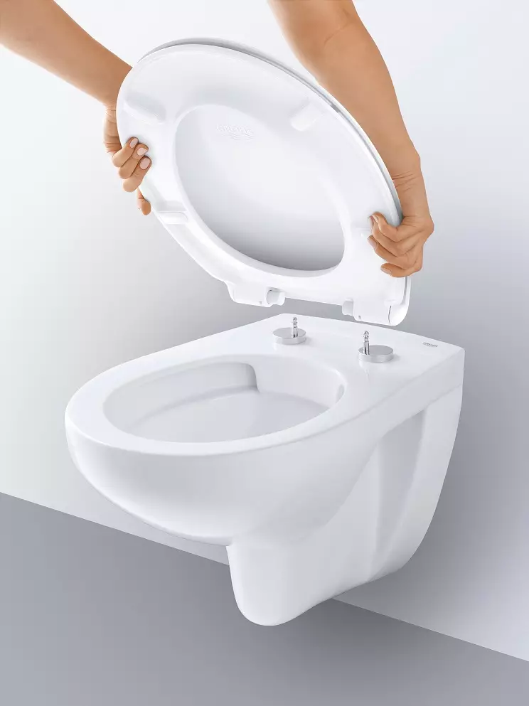 Imajući WC-om (75 fotografije): Šta je to? Prednosti i nedostatke u WC školjki bez oboda, ima modela filtera i WC školjke kompaktan, recenzije 10547_65