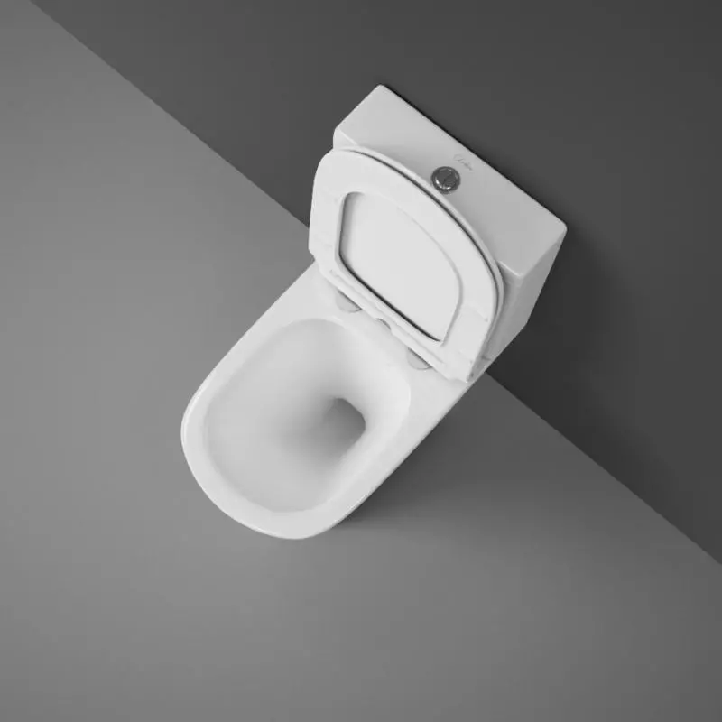 Ležaj WC (75 fotografij): Kaj je to? Prednosti in slabosti s straniščem brez platišča, značilnosti filtrirnih modelov in toaletni sklede kompaktne, pregledi 10547_69