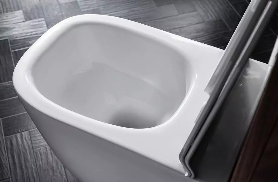 Imajući WC-om (75 fotografije): Šta je to? Prednosti i nedostatke u WC školjki bez oboda, ima modela filtera i WC školjke kompaktan, recenzije 10547_72