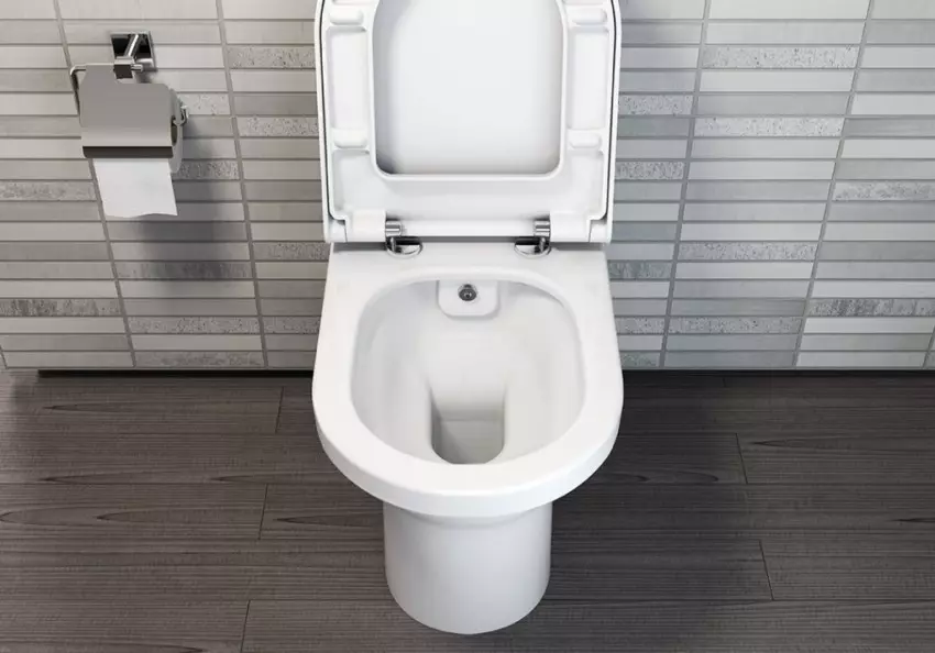 Imajući WC-om (75 fotografije): Šta je to? Prednosti i nedostatke u WC školjki bez oboda, ima modela filtera i WC školjke kompaktan, recenzije 10547_74