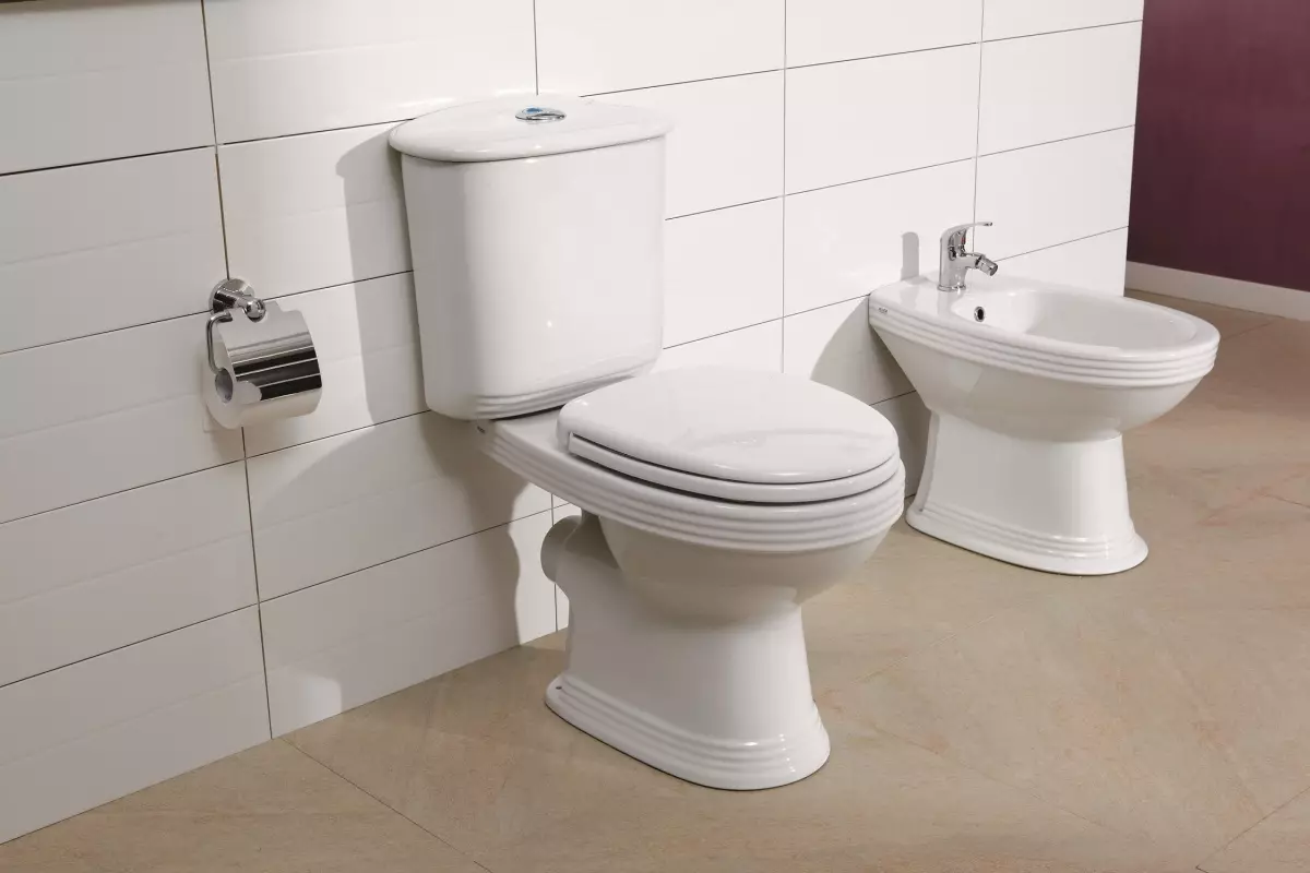 WC sa direktnim izdanja: Specifičnosti WC sa horizontalnim odvod. Koji je najbolji način: direktno ili kosi? Veličina, visina i druge parametre 10548_10