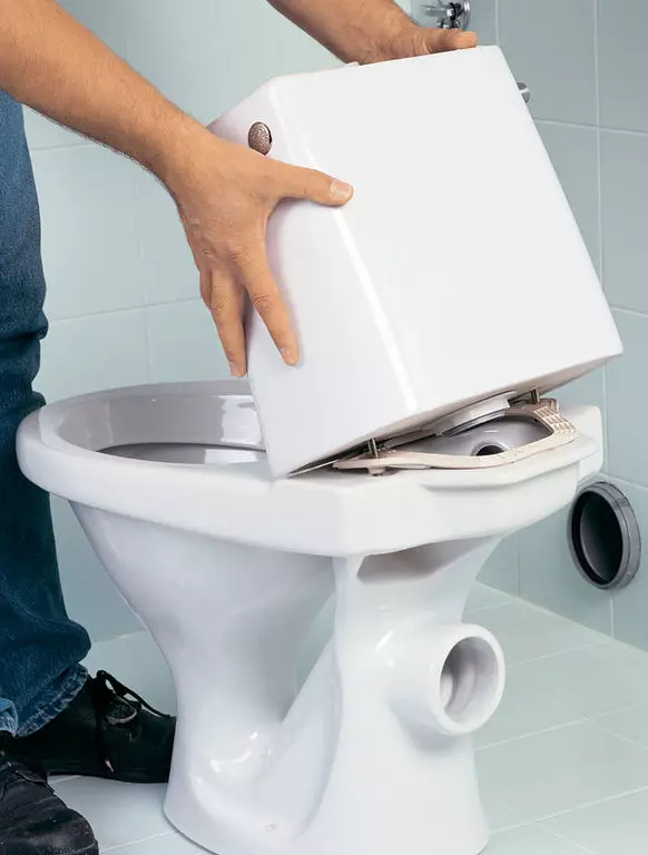 Toilet kanthi rilis langsung: keanehan jamban nganggo saluran horisontal. Apa cara paling apik: langsung utawa obong? Ukuran, dhuwur lan paramèter liyane 10548_11