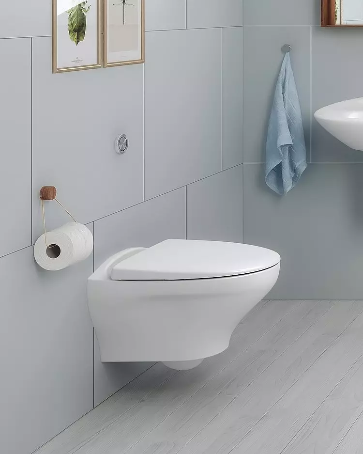 直接リリース付きトイレ：水平排水路付きトイレの特殊性。最善の方法は何ですか？直接または斜め？サイズ、高さ、その他のパラメータ 10548_18
