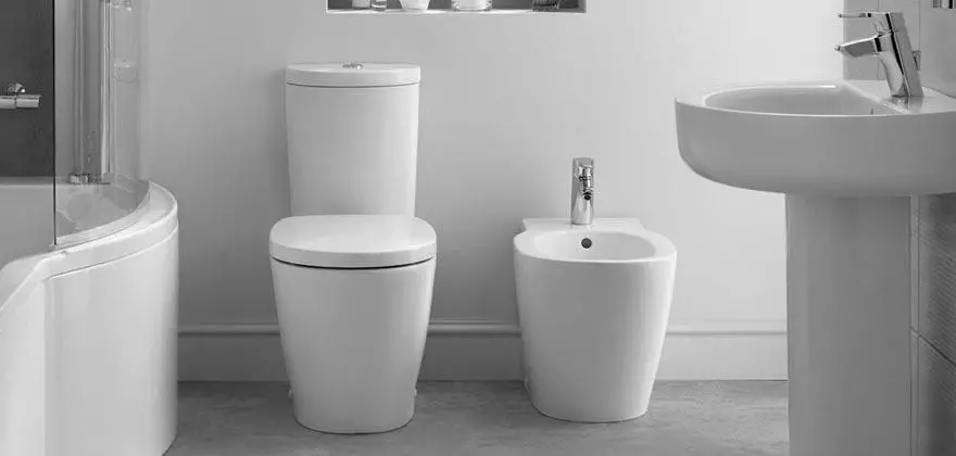 Ideel standard toiletter: gulv, suspenderet og andre typer toiletskåle, oversigt over modeller med mikrolift, Connect, Tesi Aquablade og Ocean 10553_10