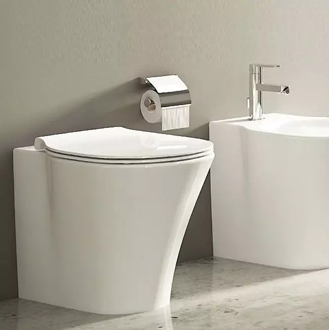 Ideel standard toiletter: gulv, suspenderet og andre typer toiletskåle, oversigt over modeller med mikrolift, Connect, Tesi Aquablade og Ocean 10553_12
