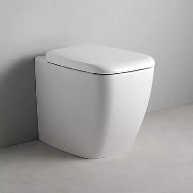 Ideel standard toiletter: gulv, suspenderet og andre typer toiletskåle, oversigt over modeller med mikrolift, Connect, Tesi Aquablade og Ocean 10553_13