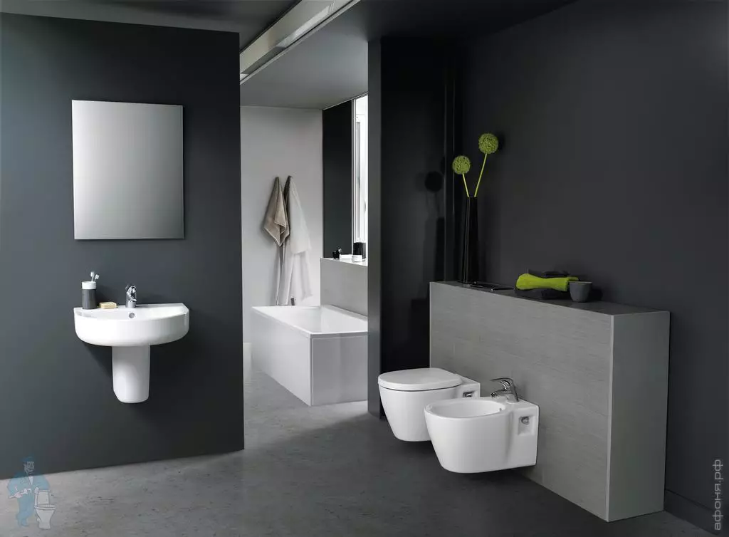 Ideel standard toiletter: gulv, suspenderet og andre typer toiletskåle, oversigt over modeller med mikrolift, Connect, Tesi Aquablade og Ocean 10553_16