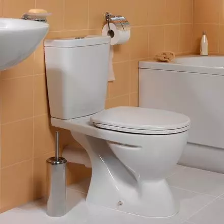 Ideel standard toiletter: gulv, suspenderet og andre typer toiletskåle, oversigt over modeller med mikrolift, Connect, Tesi Aquablade og Ocean 10553_19