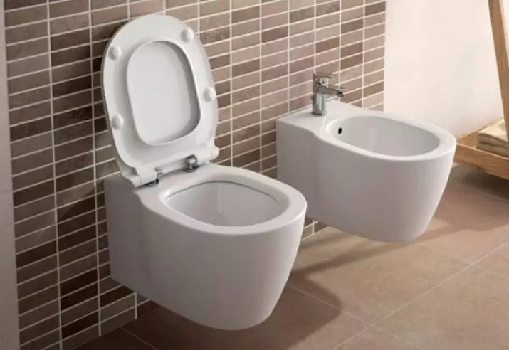 Ideel standard toiletter: gulv, suspenderet og andre typer toiletskåle, oversigt over modeller med mikrolift, Connect, Tesi Aquablade og Ocean 10553_2