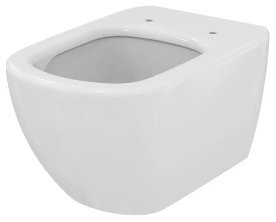 Ideel standard toiletter: gulv, suspenderet og andre typer toiletskåle, oversigt over modeller med mikrolift, Connect, Tesi Aquablade og Ocean 10553_21