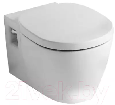 Ideel standard toiletter: gulv, suspenderet og andre typer toiletskåle, oversigt over modeller med mikrolift, Connect, Tesi Aquablade og Ocean 10553_26