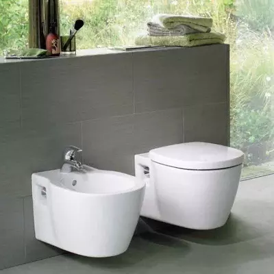 Ideel standard toiletter: gulv, suspenderet og andre typer toiletskåle, oversigt over modeller med mikrolift, Connect, Tesi Aquablade og Ocean 10553_27