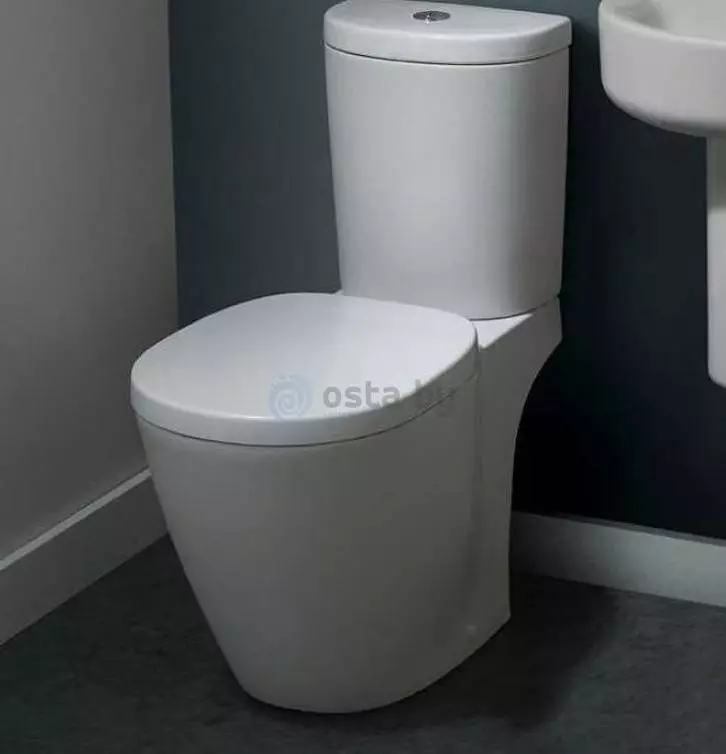 Ideel standard toiletter: gulv, suspenderet og andre typer toiletskåle, oversigt over modeller med mikrolift, Connect, Tesi Aquablade og Ocean 10553_29