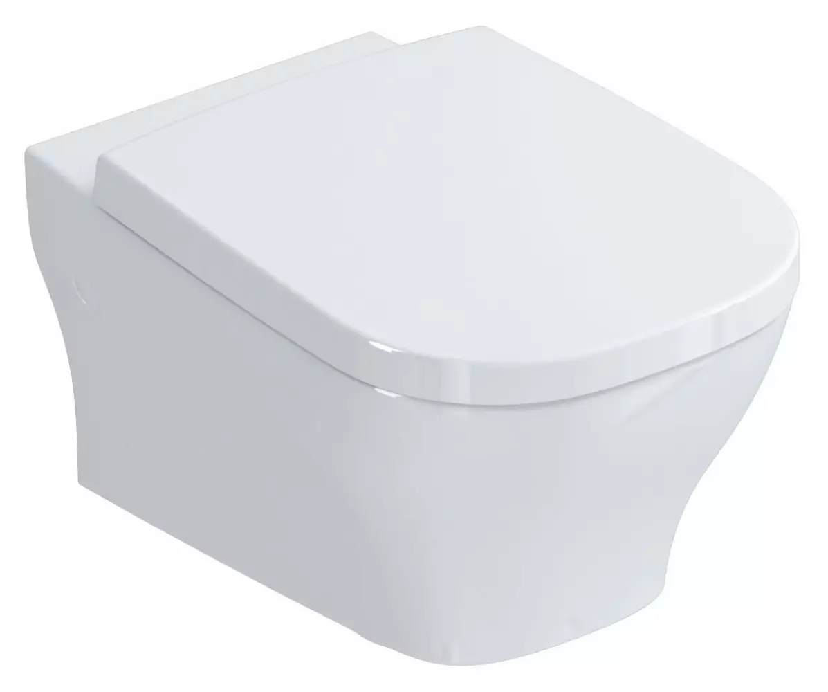 Ideel standard toiletter: gulv, suspenderet og andre typer toiletskåle, oversigt over modeller med mikrolift, Connect, Tesi Aquablade og Ocean 10553_30