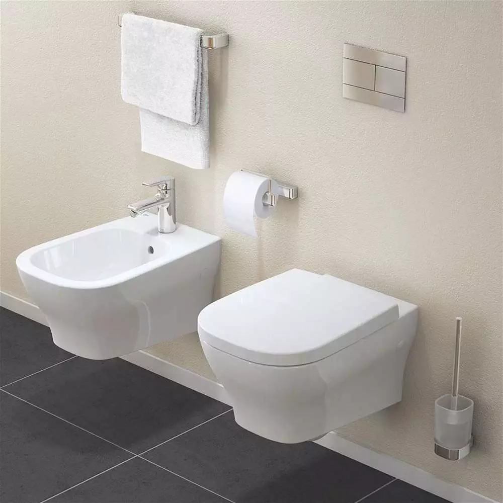 Ideel standard toiletter: gulv, suspenderet og andre typer toiletskåle, oversigt over modeller med mikrolift, Connect, Tesi Aquablade og Ocean 10553_31