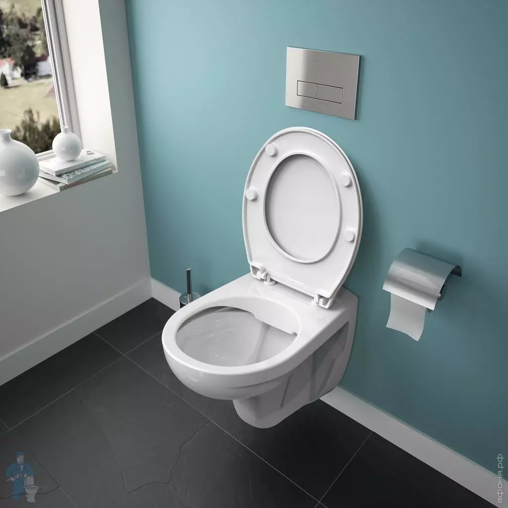 Ideel standard toiletter: gulv, suspenderet og andre typer toiletskåle, oversigt over modeller med mikrolift, Connect, Tesi Aquablade og Ocean 10553_5