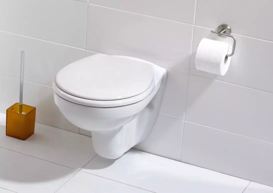 Ideel standard toiletter: gulv, suspenderet og andre typer toiletskåle, oversigt over modeller med mikrolift, Connect, Tesi Aquablade og Ocean 10553_6