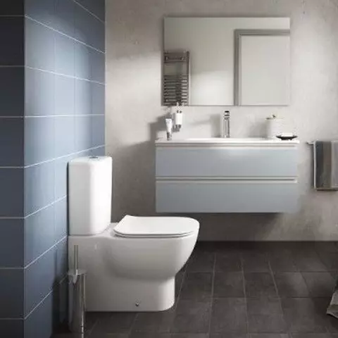Ideel standard toiletter: gulv, suspenderet og andre typer toiletskåle, oversigt over modeller med mikrolift, Connect, Tesi Aquablade og Ocean 10553_8