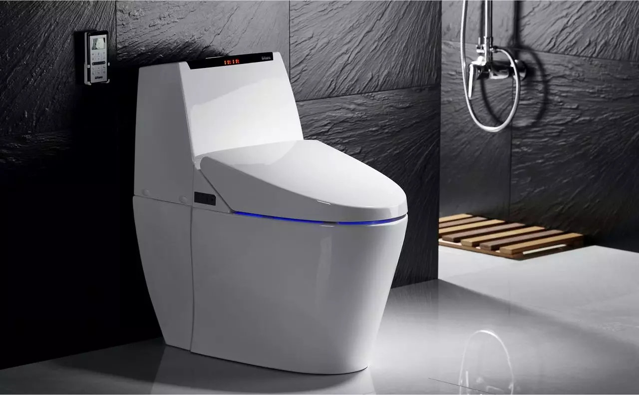 Toilet dengan fungsi bidet: liontin toilet dua dalam satu dengan bidet toilet built-in, toilet lantai, dikombinasikan dengan tiang, ulasan 10554_19