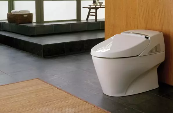 Τουαλέτα με μια λειτουργία Bidet: Κρεμαστό τουαλέτα δύο σε ένα με ενσωματωμένο μπιντέ τουαλέτας, τουαλέτα δαπέδου, σε συνδυασμό με μια Bift, σχόλια 10554_27