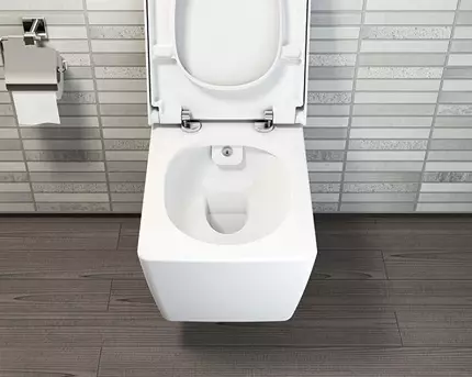 Tualete ar bidē funkciju: kulonu tualete divi vienā ar iebūvētu tualeti bidē, grīdas tualete, apvienojumā ar bift, atsauksmes 10554_28