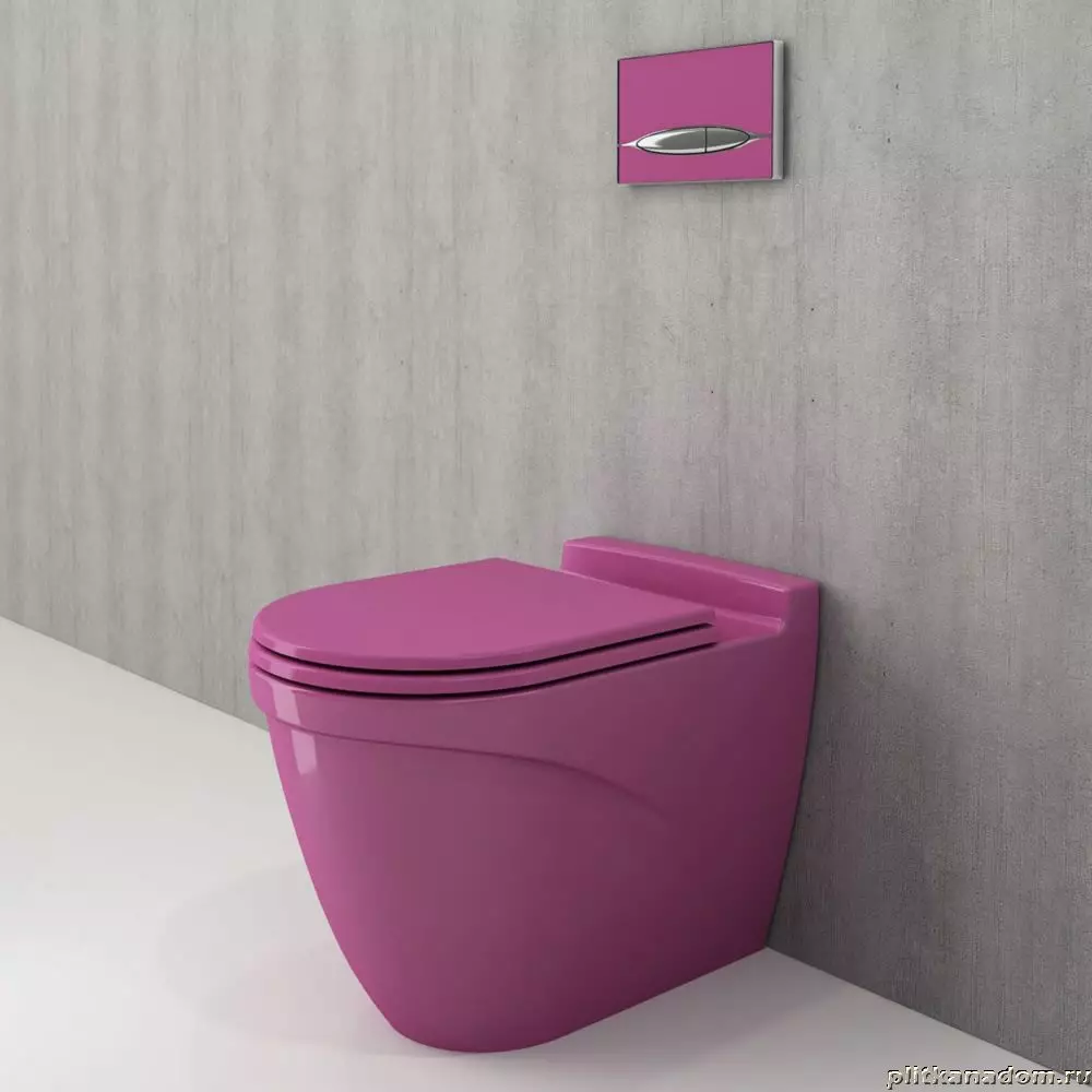 Toilet med bidet Funktion: Vedhæng toilet to i et med et indbygget toilet bidet, gulv toilet, kombineret med en bift, anmeldelser 10554_30