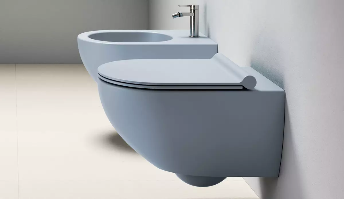 WC egy bidé funkcióval: Pendant WC-vel kettő egy beépített WC-bicséttel, padló WC-vel, egy bift, vélemények 10554_32
