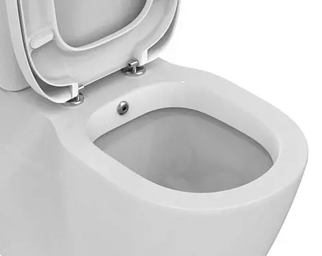 Toilet na may function na bidet: Pendant toilet Dalawang sa isa na may built-in na toilet bidet, floor toilet, na sinamahan ng BIFT, mga review 10554_36