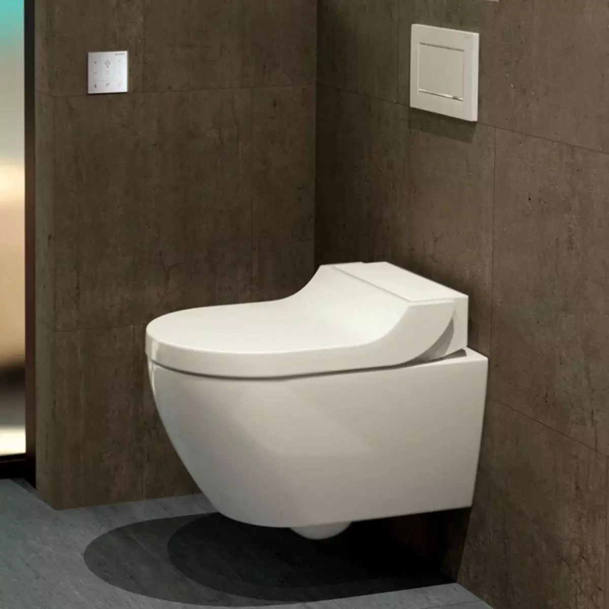 Servizi igienici con una funzione bidet: toilette a sospensione due in uno con un bidone del water integrato, toilette per pavimenti, combinata con un Bift, recensioni 10554_40