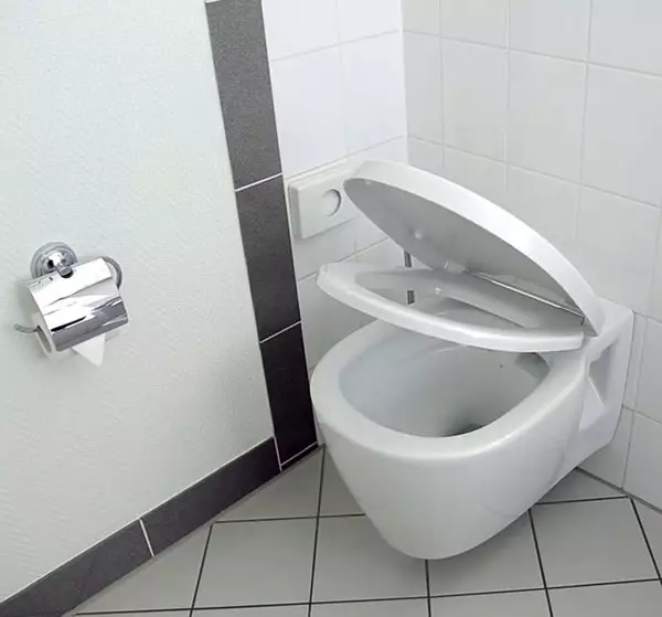 Toilet na may function na bidet: Pendant toilet Dalawang sa isa na may built-in na toilet bidet, floor toilet, na sinamahan ng BIFT, mga review 10554_43