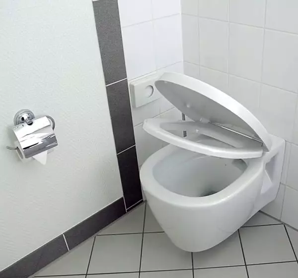 Toilet misy fiasa Bidet: Fandroahana trano fandraisam-bahiny roa ao anaty trano fidiovana vita amin'ny trano fidiovana, trano fidiovana gorodona, natambatra miaraka amina bift, hevitra 10554_43