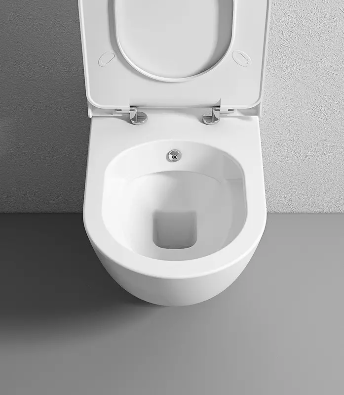 Toilet na may function na bidet: Pendant toilet Dalawang sa isa na may built-in na toilet bidet, floor toilet, na sinamahan ng BIFT, mga review 10554_44