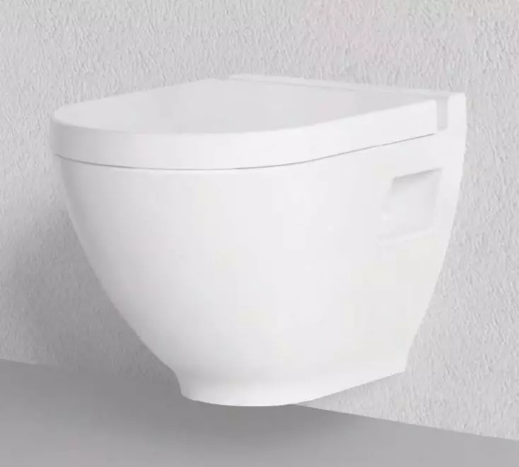 WC sa funkcija bideika: privjesak toalet dva u jednom sa ugrađenim toaletnim bideom, podnim toaletom, u kombinaciji sa biftom, recenzijama 10554_45