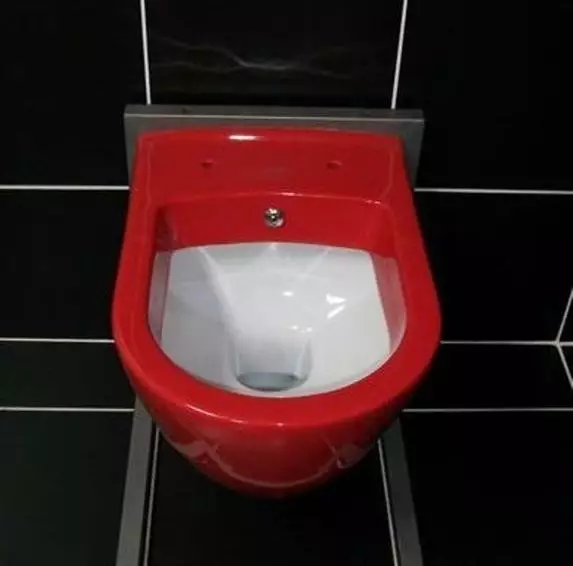 Bir təklif funksiyası olan tualet: quraşdırılmış tualet təklifi, döşəmə tualeti olan birində iki asma tualet, bir qolluq, rəylər 10554_51