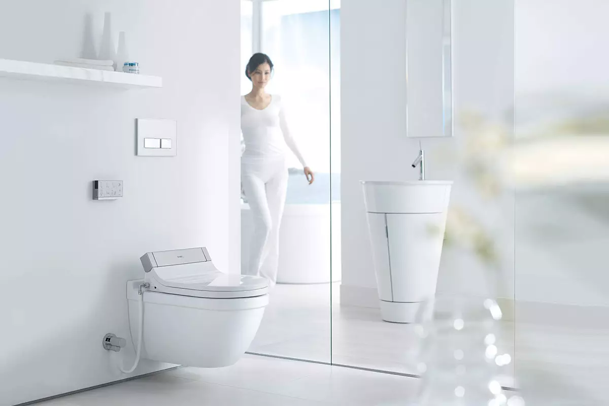 Servizi igienici con una funzione bidet: toilette a sospensione due in uno con un bidone del water integrato, toilette per pavimenti, combinata con un Bift, recensioni 10554_52