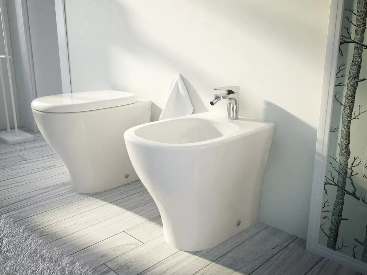 केरामाग शौचालय: निलंबित, आउटडोर और प्यारे मॉडल की विशेषताएं 10556_15