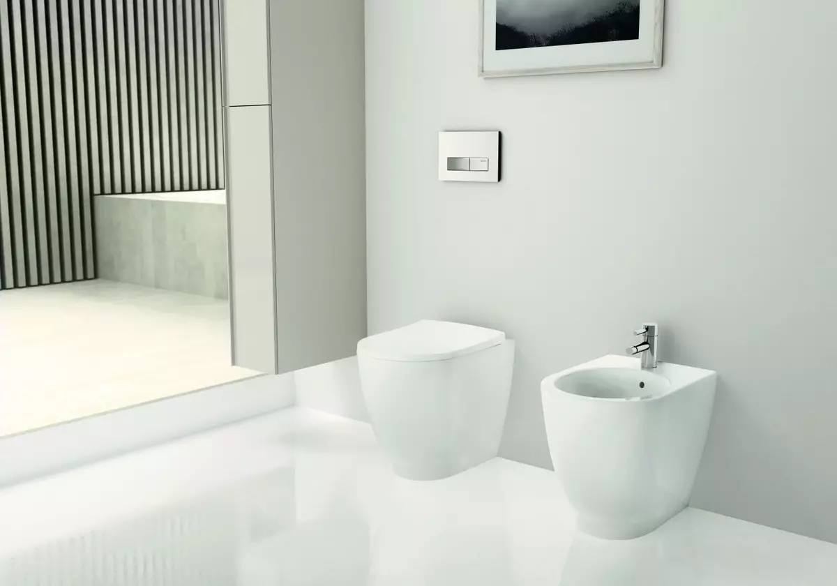 केरामाग शौचालय: निलंबित, आउटडोर और प्यारे मॉडल की विशेषताएं 10556_16