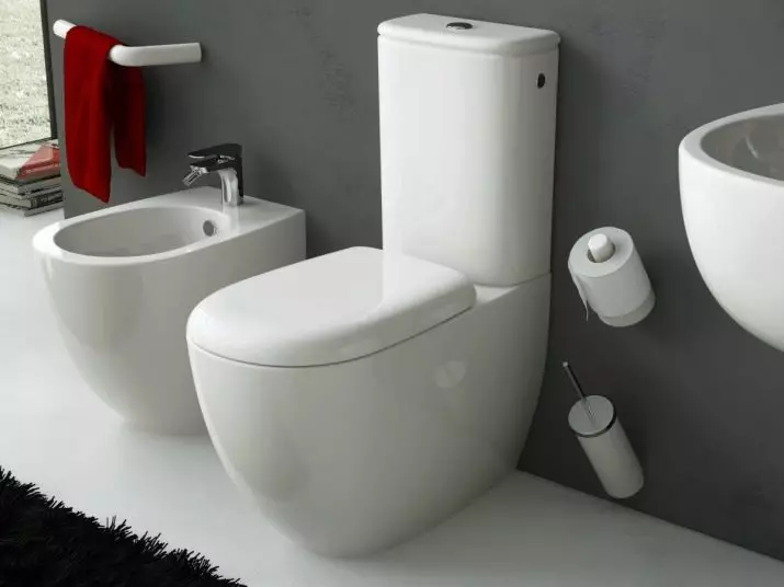 Keramag-Toilette: Merkmale von suspendierten, im Freien und Furry-Modellen 10556_17