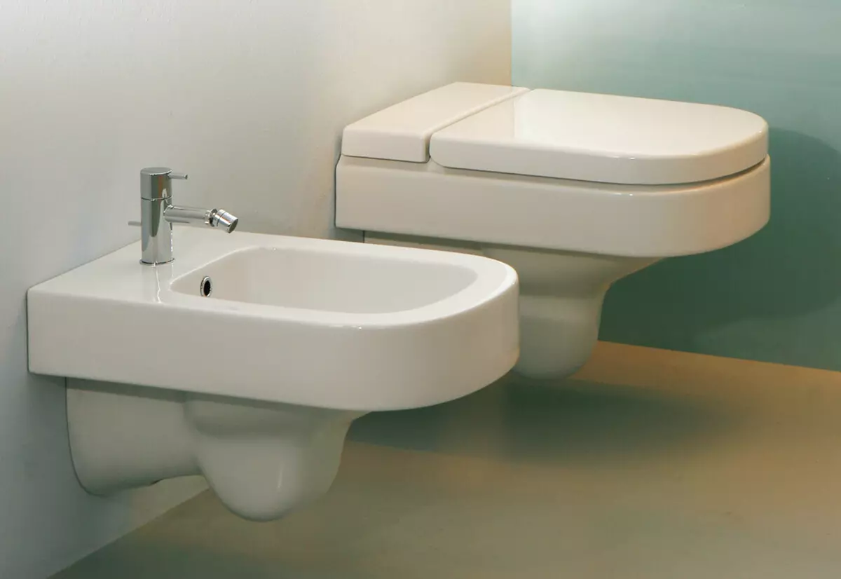 Keramu WC: peatatud, välistingimustes ja karvamudelite funktsioonid